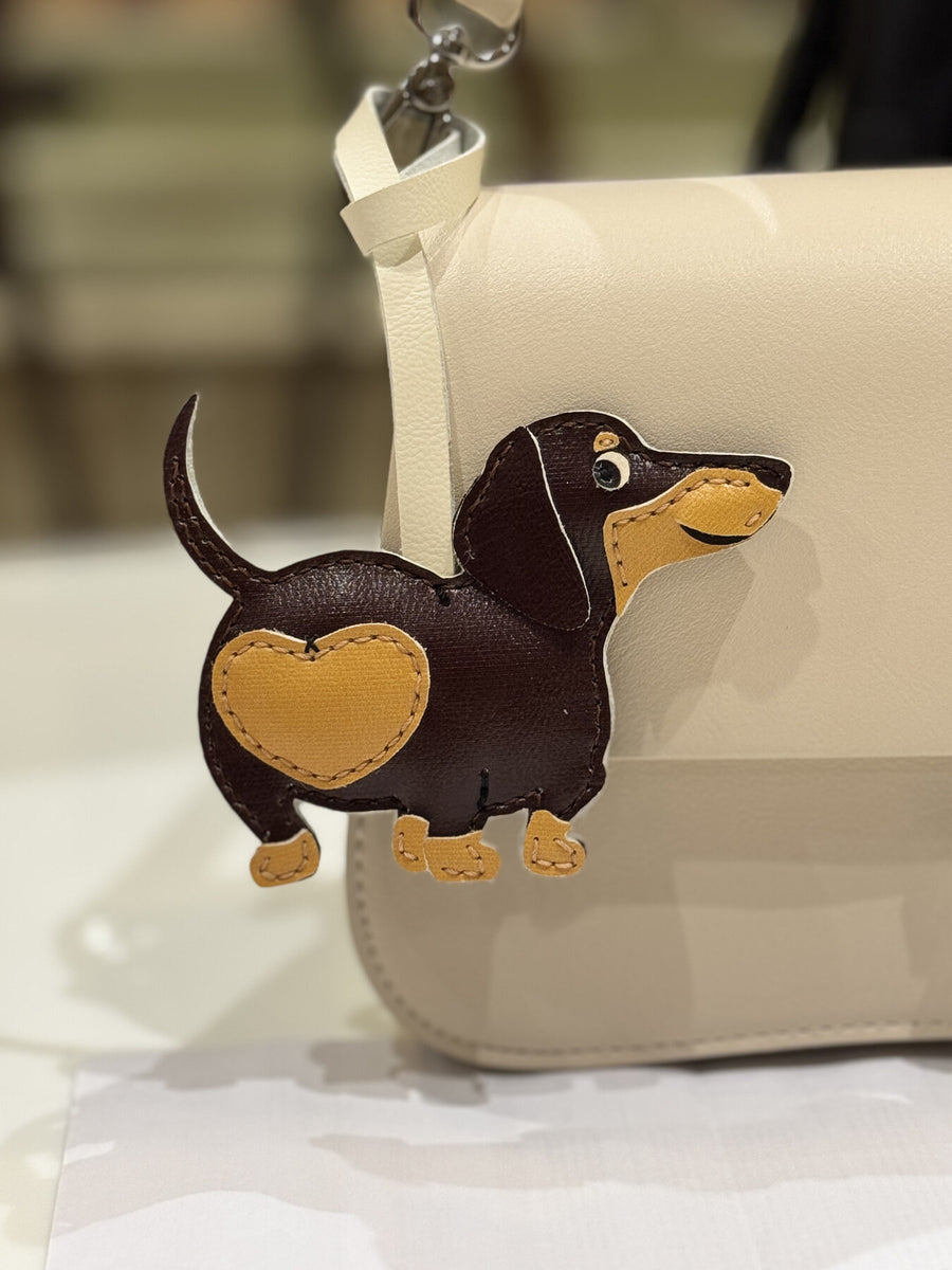 Dachshund